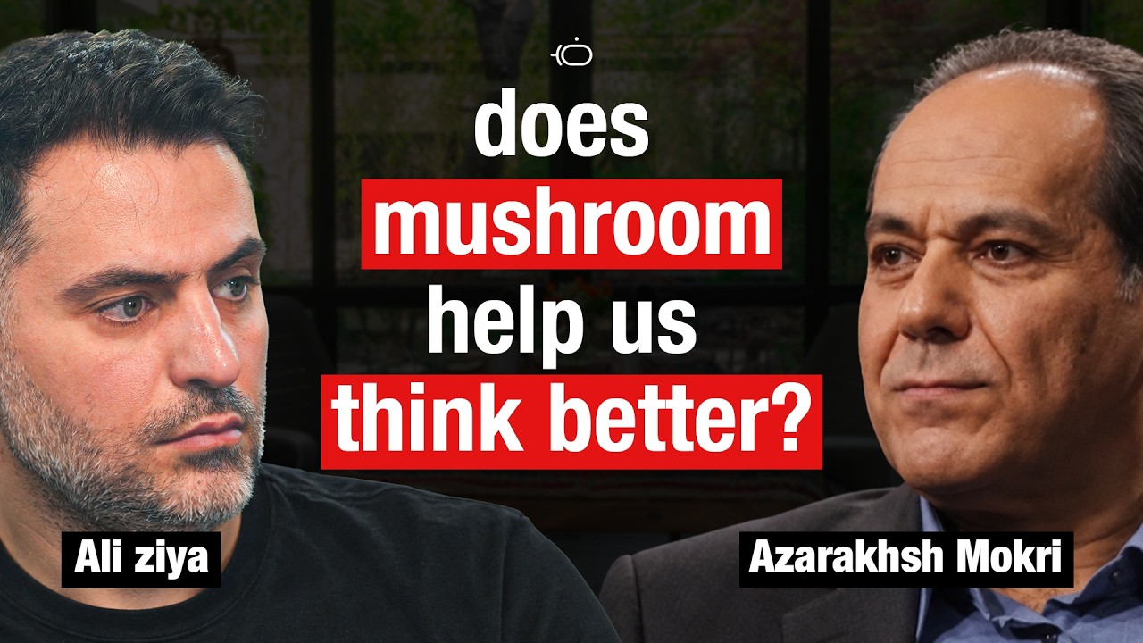 Mushroom and its effects